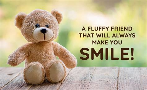 teddy bear quotes love|funny teddy bear quotes.